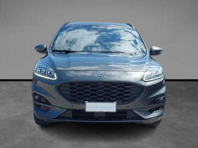 FORD Kuga 2.5 Full Hybrid 190 CV CVT 2WD ST-Line X rif. 23642920 - Foto 7