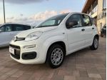 FIAT Panda 1.3 MJT 95 CV S&S Lounge *DIESEL* rif. 24077200