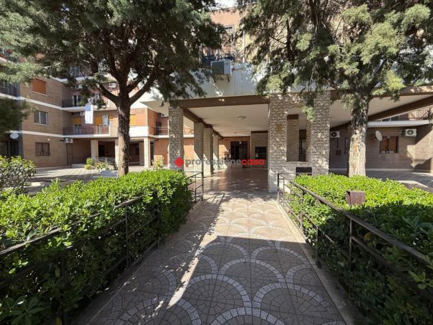 Appartamento - Foggia . Rif.: Cod. rif 3307080VRG