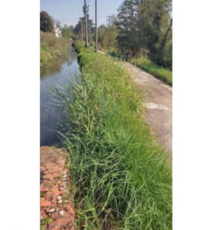 Immobile in asta di 22 m² in vendita a Ozzero - Foto 8