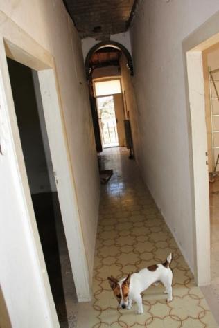 Baschi - vendesi proprietà indipendente da ristrutturare con grande terrazza garage e cantina - Foto 3