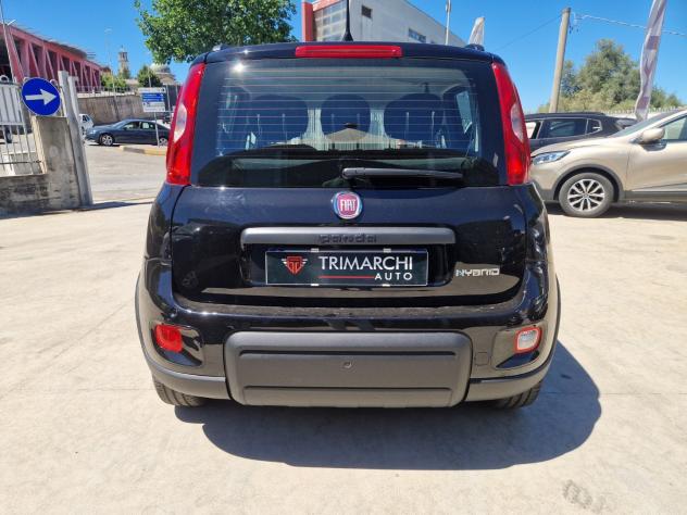 FIAT Panda 1.0 FireFly 70cv S&S Hybrid - Foto 6