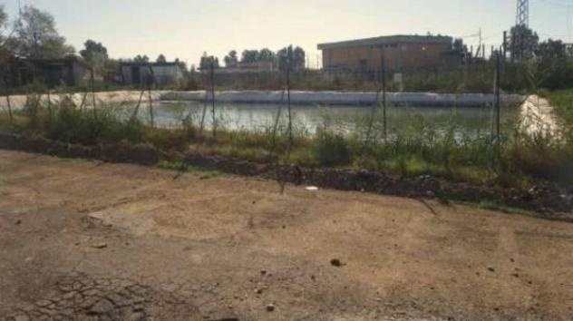 Immobile in asta di 9788 m² in vendita a Bernalda - Foto 7