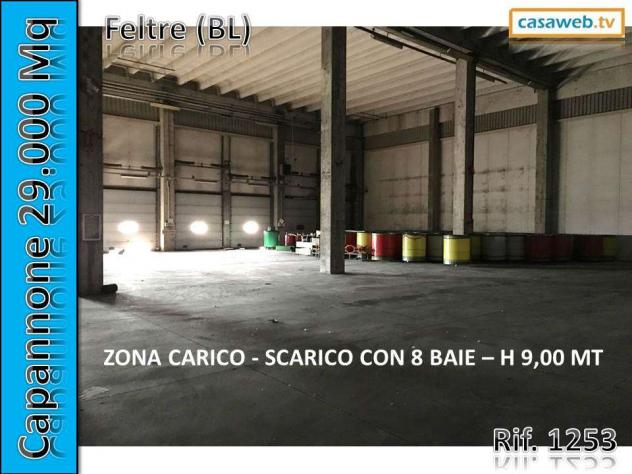 1253 - Capannone a Borgo Valbelluna - Foto 6
