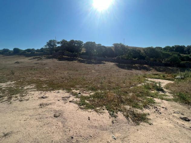 Annesso agricolo in vendita a Luogosanto 22800 mq Rif: 1348054 - Foto 9