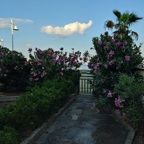 CIN: IT077003C205481001 CasaVacanze -villa Fronte Mare - Foto 8