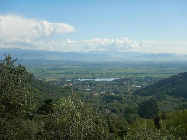 Terreno agricolo in vendita a Ruota - Capannori 1500 mq Rif: 1258452