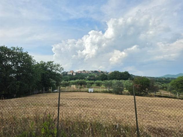 LANUVIO - Foto 3
