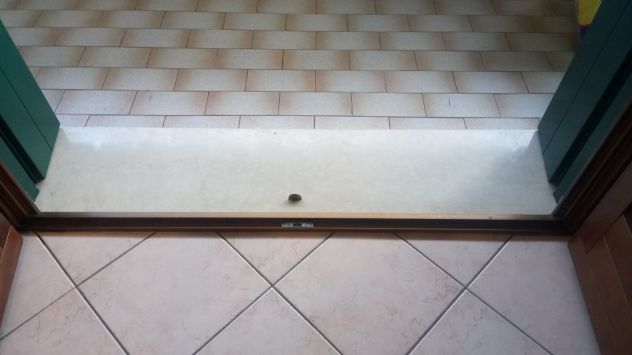 Pedana per superamento della soglia - Foto 2