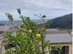 Casa singola in vendita a Bergiola - Massa 140 mq  Rif: 1254820