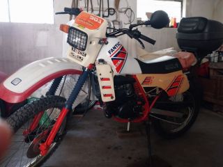 Fantic raider 50