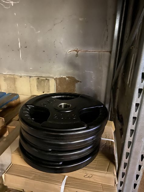 bumpers e dambell per palestra no technogym - Foto 2