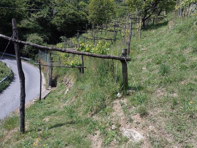 Terreno agricolo in vendita a Fontia - Carrara 3000 mq Rif: 798593 - Foto 3