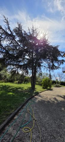 Casale in vendita a Morlupo - Foto 15