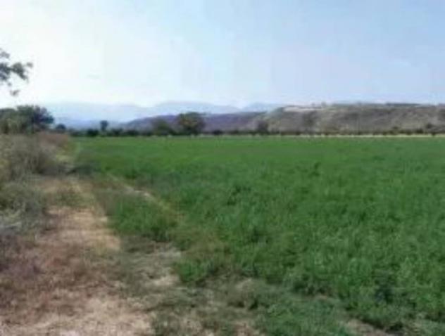 Immobile in asta di 37060 m² in vendita a Roggiano Gravina - Foto 4