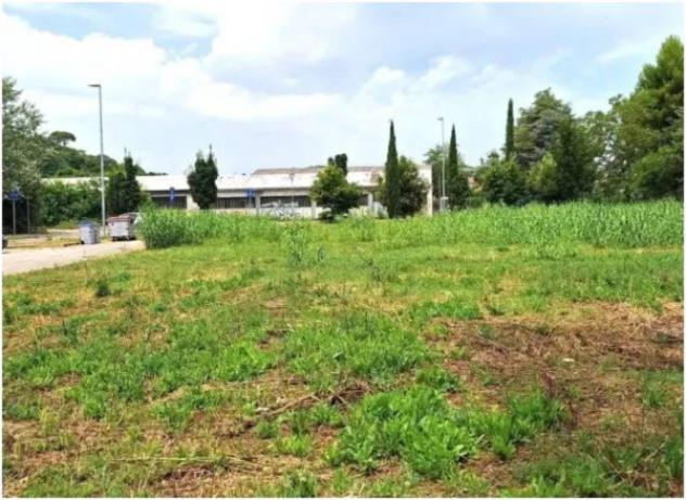 Immobile in asta di 1236 m² in vendita a Pesaro - Foto 6