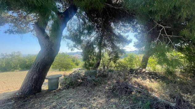 CERBARA: Nelle dolci colline di cerbara, in posizione riservata e panoramica, proponiamo in vendita un caratteristico casale marchigiano indipendente - Foto 6