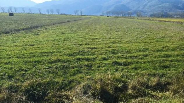 Immobile in asta di 366 m² in vendita a Atena Lucana - Foto 7