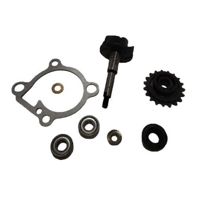 Kit revisione pompa H2O Sym 125 180