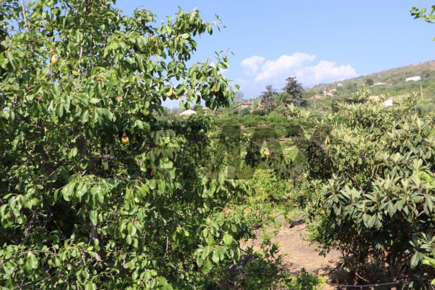 Terreno in vendita a Mascali, Santa Venera - Foto 3