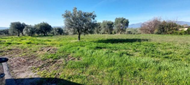 Immobile in asta di 6583 m² in vendita a Nereto - Foto 3