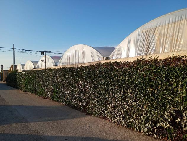 Terreno in vendita a Santa Croce Camerina, Punta Secca - Foto 7