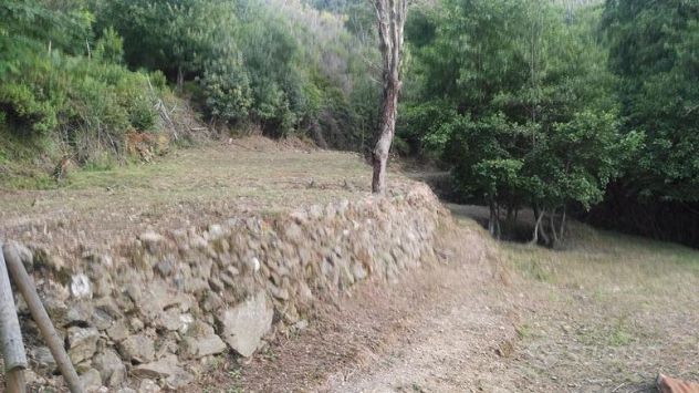 Terreni in vendita - Foto 5