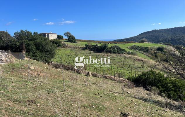 Terreno Residenziale - Budoni . Rif.: Cod. rif 3261193VRG - Foto 10