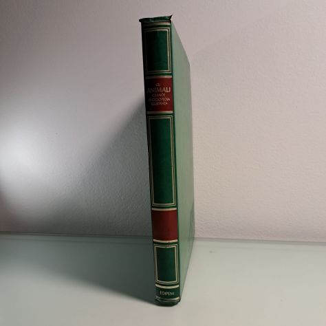 Gli Animali - Grande Encilopedia Illustrata - Vittorio Giordano - Edipem - 1979 - Foto 8