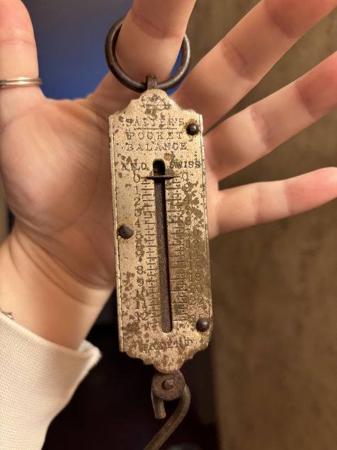 BILANCIA TASCABILE A MOLLA D’EPOCA/DINAMOMETRO MECCANICO MARCA SALTER IN METAL - Foto 6