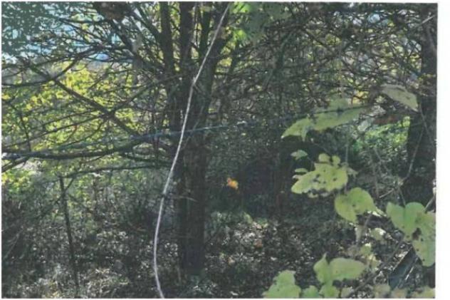 Immobile in asta di 209 m² in vendita a Spoleto - Foto 3