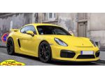 TOP RICAMBI TAGLIANDO porsche 981