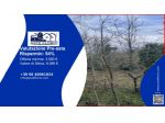Immobile in asta di 6010 m² in vendita a Città della Pieve