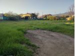 Terreno edif. residenziale in vendita a Luni 2000 mq  Rif: 1227489