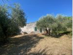 Porzione di casa in vendita a Rosignano Marittimo