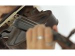 Violinista a Mantova