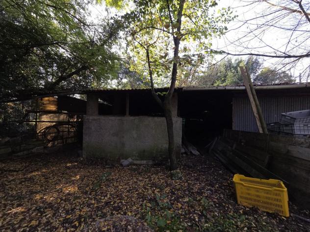 Terreno edif. residenziale in vendita a Segromigno In Monte - Capannori 2000 mq Rif: 1361787 - Foto 9