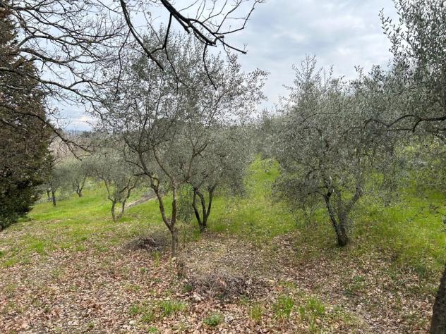 Terreno agricolo in vendita a Corniola - Empoli 20000 mq Rif: 1099670 - Foto 7