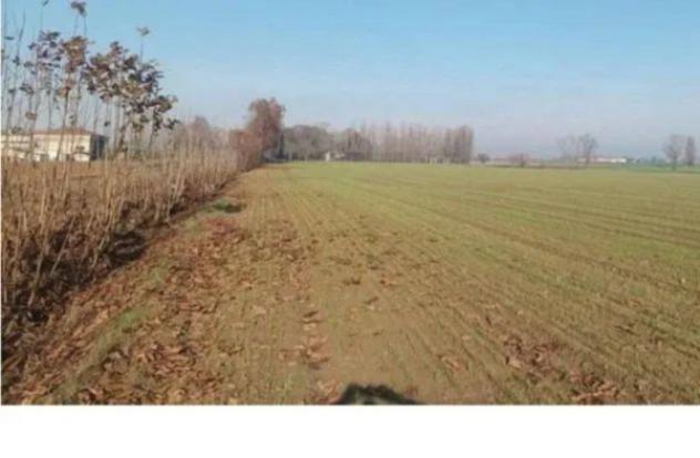 Immobile in asta di 27420 m² in vendita a Nogara - Foto 2