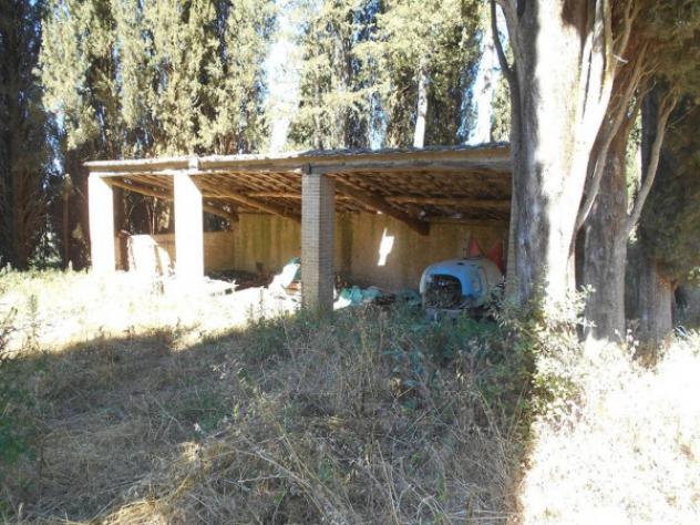 Immobile in asta di 1120 m² con più di 5 locali in vendita a Siena - Foto 5