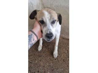 LUMI 15 ANNI