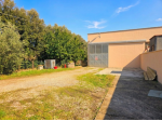 Capannone artigianale in vendita a Casciana Terme Lari 410 mq  Rif: 1409076