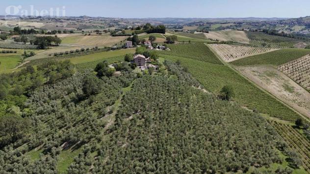 Villa bifamiliare - Arcevia . Rif.: SV04466VRG - Foto 10