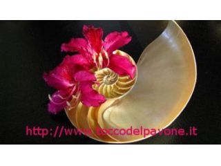Massaggi - benessere Genova - Massaggi emozionali viareggio Tel:3772503951