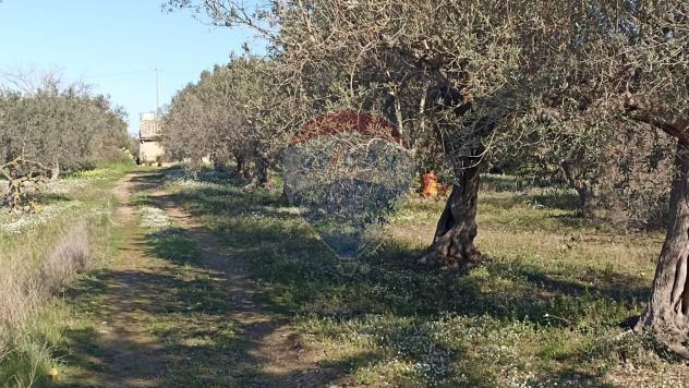 Rustico in vendita a Chiaramonte Gulfi - Foto 8