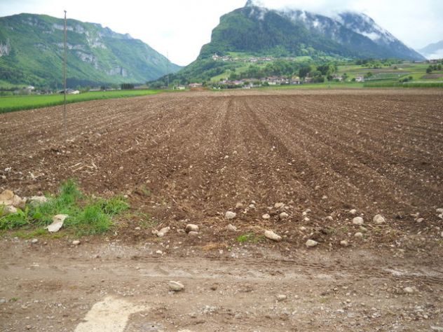 Terreno agricolo con irrigazione - Foto 2