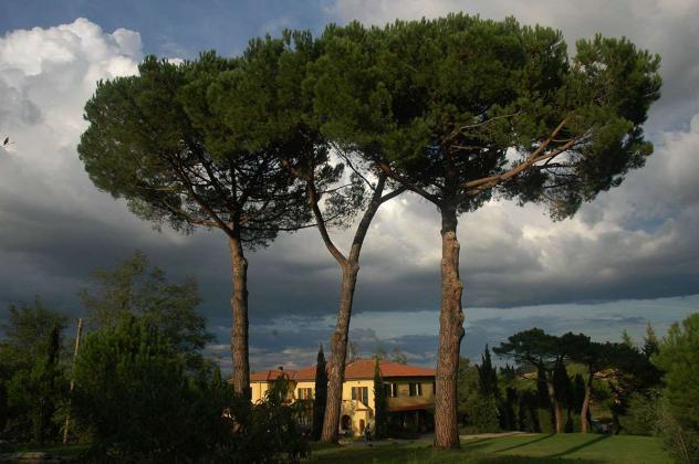 Villa in vendita a Fauglia 600 mq Rif: 1041560 - Foto 2