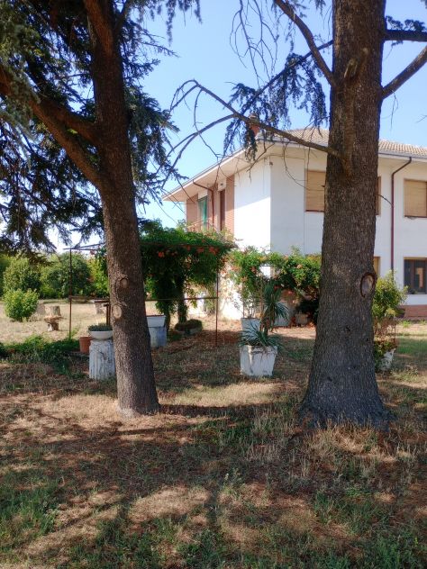 Alloggio libero - Foto 2