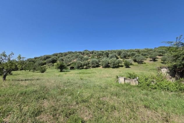Terreno di 12000 m² in vendita a Guidonia Montecelio - Foto 13