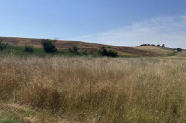 Immobile in asta di 57 m² in vendita a Tarquinia - Foto 7
